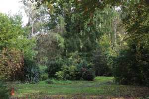Traumhaftes Wohnen auf parkähnlichem Grundstück – Oldenburg (Kreis) – Vorschaubild 17