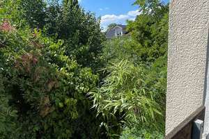 Freistehendes Einfamilienhaus mit schönen Garten.... – Die vollständige Adresse der Immobilie erhältst du vom Anbieter., 53227 Pützchen/Bechlinghoven, Bonn – Vorschaubild 31