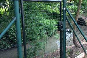 Wiesloch 10-FH am murmelnden Bach, gut vermietet, gedämmt,  – Rhein-Neckar-Kreis – Vorschaubild 2