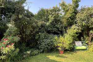 DHH mit Garten in Fürth - Unterfarrnbach – Fürth – Vorschaubild 2
