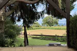 Property thumbnail 17
