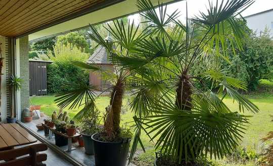 Bungalow mit Prachtgarten