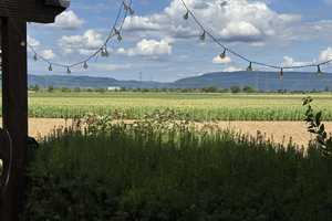 Wohnen mit Weitblick: Freistehendes Haus mit Traumgarten & großer Garage (Einliegerwohng optional)
