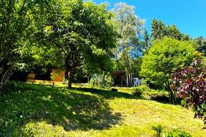 Großzügiges Einfamilienhaus mit Praxisräumen und einzigartigem Gartenparadies – Die vollständige Adresse der Immobilie erhältst du vom Anbieter., 65193 Sonnenberg, Wiesbaden – Vorschaubild 11