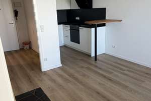 Modernisierte 1,5-Zi-Wohnung mit Teil Skylineblick – Erstbezug nach Sanierung - alles Neu – 60528 Niederrad, Frankfurt am Main – Vorschaubild 3