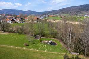 Excl. Anwesen m. 2 Wohnhäusern, Pool u. Nebengeb. - ca. 5.500 m2 Grundstück – Deggendorf (Kreis) – Vorschaubild 2