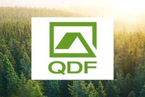 +++ Investor für 2 Doppelhäuser gesucht +++ TOP Lage in Schönefeld – Dahme-Spreewald (Kreis) – Vorschaubild 18
