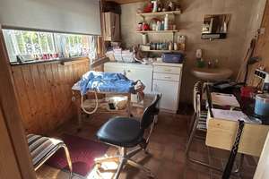 Tolle Doppelhaushälfte für Gartenliebhaber – Die vollständige Adresse der Immobilie erhältst du vom Anbieter., 47228 Bergheim, Duisburg – Vorschaubild 20