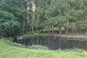 Ein Rückzugsort inmitten der Natur – Außergewöhnliches Wochenendhaus für Jäger oder Individualisten – Die vollständige Adresse der Immobilie erhältst du vom Anbieter., 54411 Hermeskeil – Vorschaubild 21