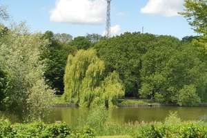 Property thumbnail 13