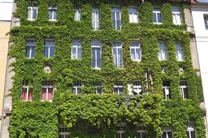 Helle 3-Zimmer-Wohnung im 3. OG in Halle (Saale) Südliche Innenstadt