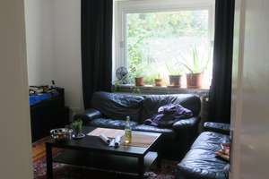 Property thumbnail 17