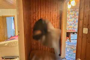 Reihenmittelhaus mit Garten in zentraler Lage von Baesweiler – Aachen (Kreis) – Vorschaubild 20