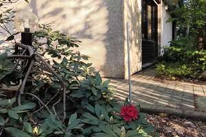 Traumgrundstück und viel Platz in einem barrierefreien Bungalow – Die vollständige Adresse der Immobilie erhältst du vom Anbieter., 38518 Gifhorn – Vorschaubild 15
