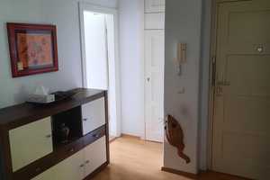 Kapitalanlage in der Hauptstadt – Lincolnstr. 55, 10315 Berlin – Vorschaubild 4