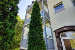 *Familienwohnung gesucht?* – Carl-von-Ossietzky-Straße 41, 9126 Lutherviertel, Chemnitz – Vorschaubild 2