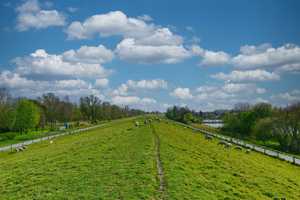 Wasser, Wind und Weser! Wohnen in Strandnähe!      2 - Familienhaus in schöner, ruhiger Lage – Wesermarsch (Kreis) – Vorschaubild 8