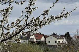PLATZWUNDER IN DER THERESIENSTRASSE IN RHODT! – Theresienstraße 107, 76835 Rhodt unter Rietburg – Vorschaubild 9