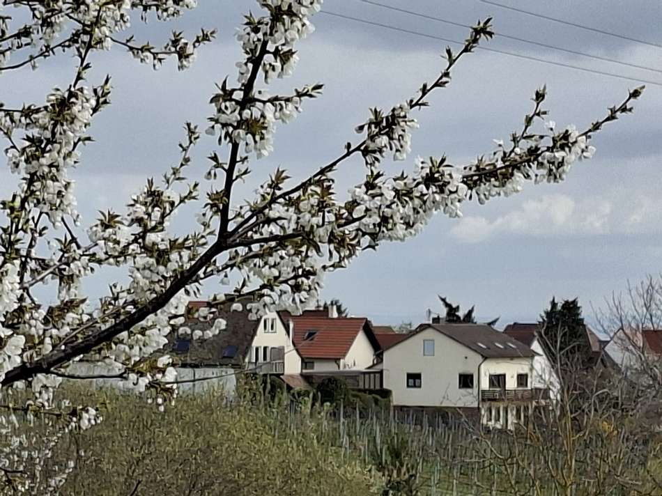 Blick auf die Immobilie