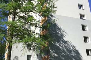 Charmante 3-Raum-Wohnung mit sonnigem Balkon und Tageslichtbad! – Freisenbruchstraße 35, 45279 Freisenbruch, Essen – Vorschaubild 2