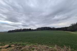 Preis reduziert: Einfamilienhaus mit großem Potenzial in ruhiger Lage – 84092 Bayerbach bei Ergoldsbach – Vorschaubild 14