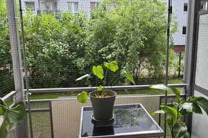 Charmante 2-Zimmerwohnung mit Balkon im westlichen Ringgebiet - Möbelübernahme möglich – Braunschweig – Vorschaubild 11