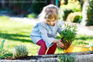 Stilvoll wohnen zum Vorteilspreis - Aktionshaus Springside 1 inkl. Grundstück, bezugsfertig! – Wetteraukreis – Vorschaubild 2