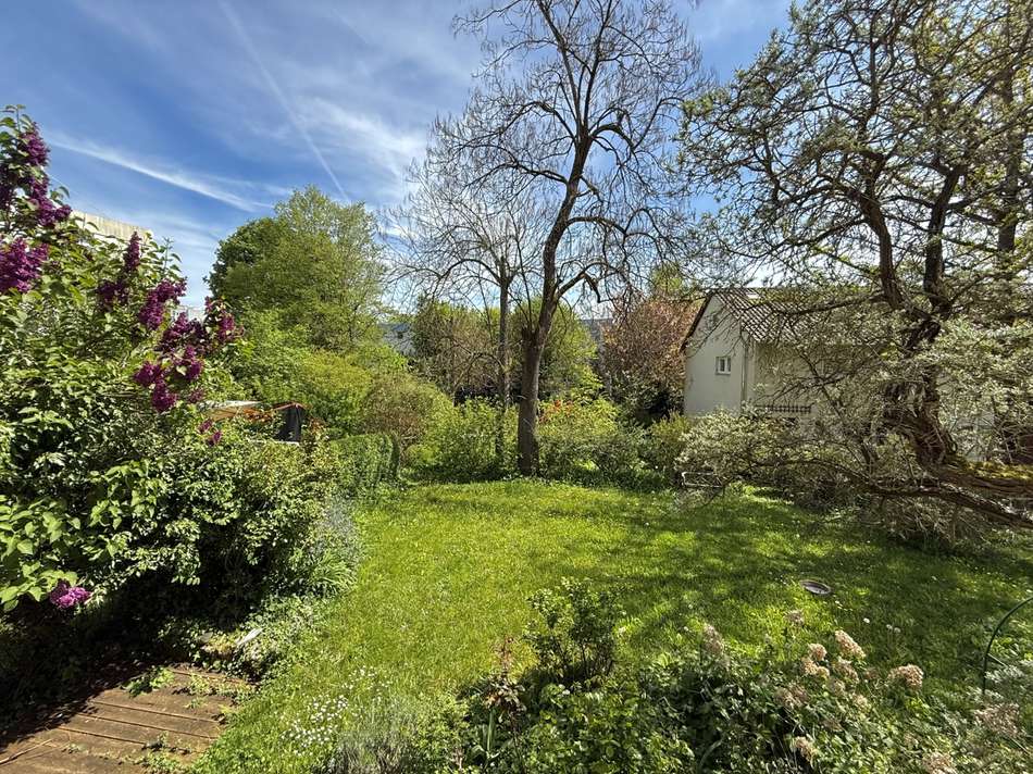 Blick in den Garten