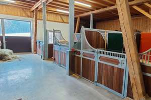 Bauernhaus/Bauernhof kaufen im Allgäu, absolute Alleinlage mit ca. 11 Hektar Wiesen für Mensch & Tie – Die vollständige Adresse der Immobilie erhältst du vom Anbieter., 87739 Breitenbrunn – Vorschaubild 18