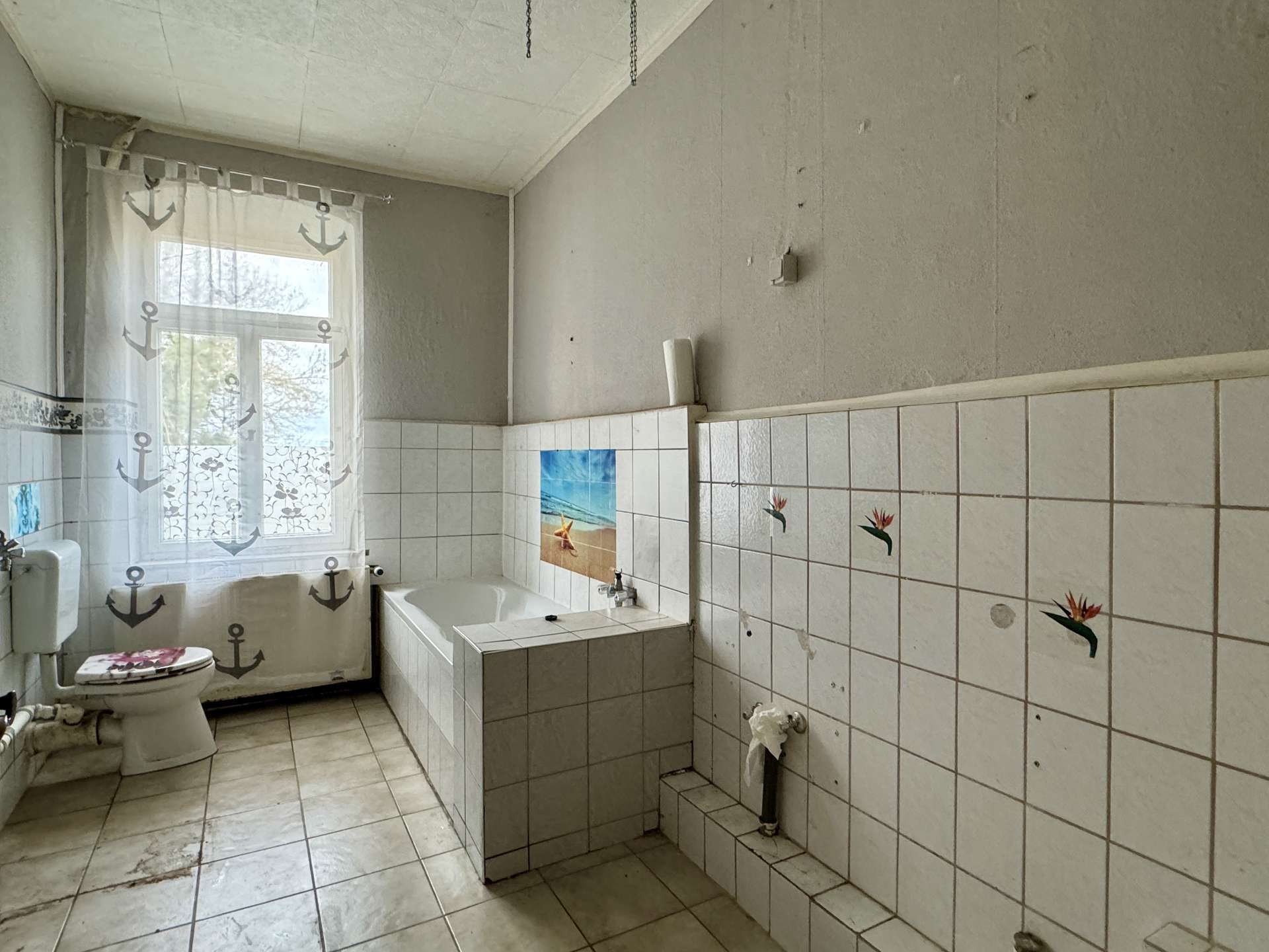 Immobilie in Naundorf - Gewerbliche Nutzung möglich! - Großzügiges Einfamilienhaus – Ideal für Mehrgenerationen-Wohnen - Bild 2