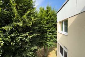 Frisch renoviert! 4-Zimmer-Wohnung mit Balkon & Garage in Bergisch Neukirchen – Akazienweg 18, 51381 Bergisch Neukirchen, Leverkusen – Vorschaubild 4