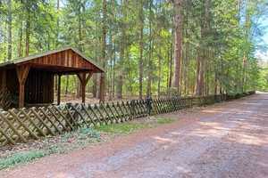 Draußen im Walde... idyllisch gelegenes Holzhaus auf 3.549 m² Waldgrundstück – Uelzen (Kreis) – Vorschaubild 24