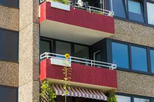 Ein tolles Wohngefühl: praktisches 1-Zimmer-Appartment – Am Spörkel 61, 44227 Dortmund – Vorschaubild 1