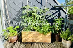 Tauschwohnung: Tausche sonnige 3 Zimmer Wohnung gegen 4 Zimmer Wohnung