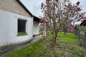 Schönes idyllisches Grundstück in Pankow zum Selbstausbau – Pflaumenblütenweg 19, 13127 Französisch Buchholz, Berlin – Vorschaubild 6