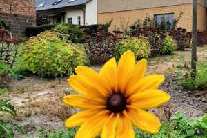 RESERVIERT!!! - FRÜHLINGSANGEBOT!!! - EIN KLEINER BAUERNHOF IN DER UCKERMARK ERWARTET SIE HIER! – Uckermark (Kreis) – Vorschaubild 8
