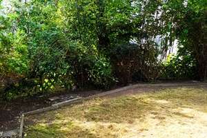 +++ Komplett sanierte 3 Zimmer Whg. mit Tageslichtbad & Gartenmitbenutzung +++ – Kuller Straße 110, 42651 Solingen-Mitte, Solingen – Vorschaubild 26