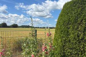 Property thumbnail 17