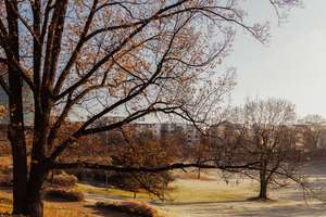 Property thumbnail 25