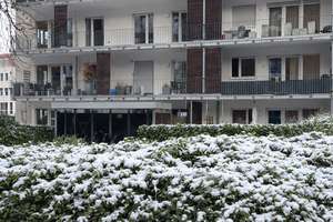 Property thumbnail 14