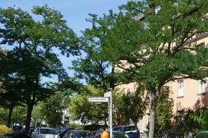 Westend ohne Käuferprovision: bezugsfrei, komplett modernisiert, helles 1. = oberstes OG, Südbalkon – Die vollständige Adresse der Immobilie erhältst du vom Anbieter., 14050 Westend, Berlin – Vorschaubild 10