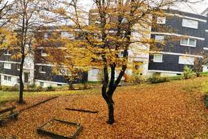 4-Zimmer Wohnung in Siegen-Fludersbach – Auf der Hohenfuhr 31, 57074 Siegen, Siegen – Vorschaubild 6