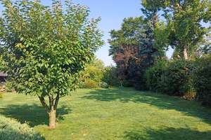 Property thumbnail 10