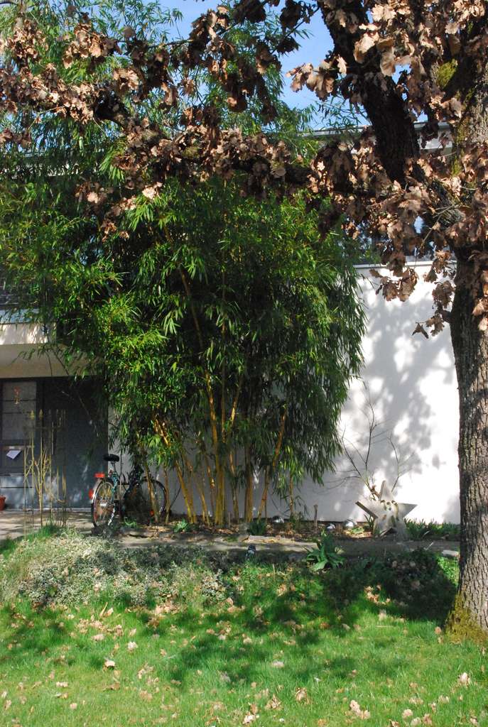 Immobilie in Ummendorf - Großzügig, modern und gepflegt - Einfamilienhaus mit 7 Zimmern in Ummendorf - Bild 2