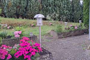 Fu./Ffm gut erreichb., KITA,Reiten,Freibad,Lidl nah – Friedhofstraße 2, 36286 Neuenstein – Vorschaubild 8