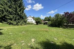 Einfamilienhaus mit großem Grundstück in Holtendorf zum Ausbau – Girbigsdorfer Str. 11, 2829 Markersdorf – Vorschaubild 12