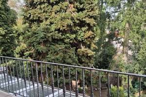 Schöne und geräumige 3 Zimmer Wohnung mit großem Balkon! – Bismarckstraße 81, 47799 Cracau, Krefeld – Vorschaubild 7
