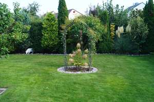 Geschmackvoll angelegtes Gartenidyll und ein komplett saniertes Anwesen, sofort zum Einziehen. – Die vollständige Adresse der Immobilie erhältst du vom Anbieter., 64521 Groß-Gerau – Vorschaubild 12