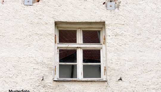 Bild von Aus alt mach Neu! Kleines abbruchreifes Einfamilienhaus