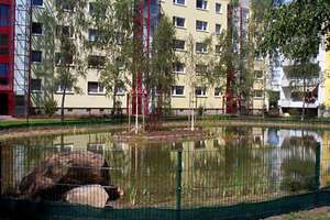 Wohnungsangebot Hans-Grade-Straße 79 – Hans-Grade-Straße 79, 39130 Neu Olvenstedt, Magdeburg – Vorschaubild 7